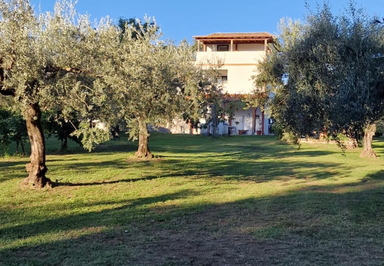 Casa a Nerola - Country House with Pool in Nerola