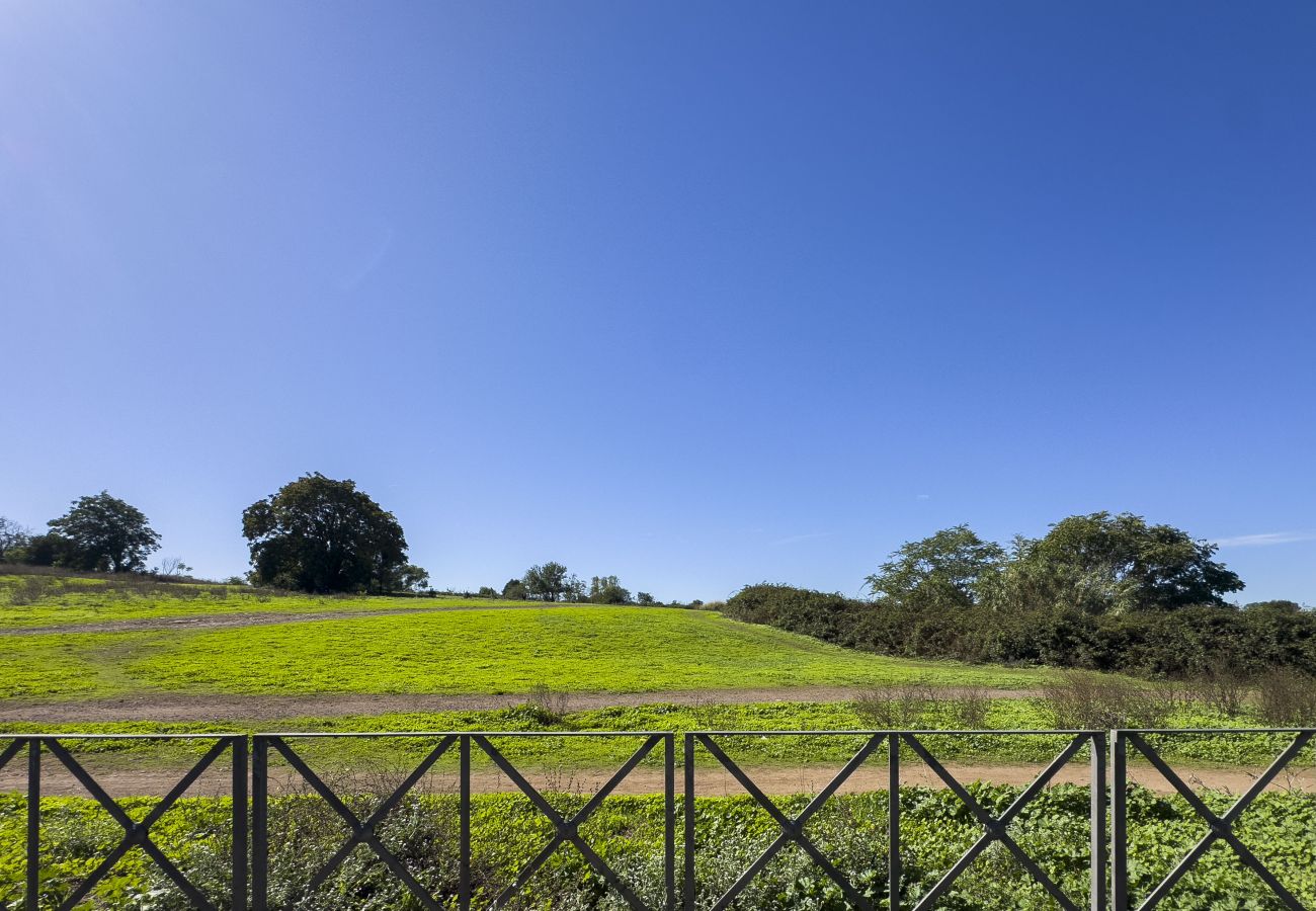 Apartment in Rome - Caffarella Park Terraced 2BR Apartment